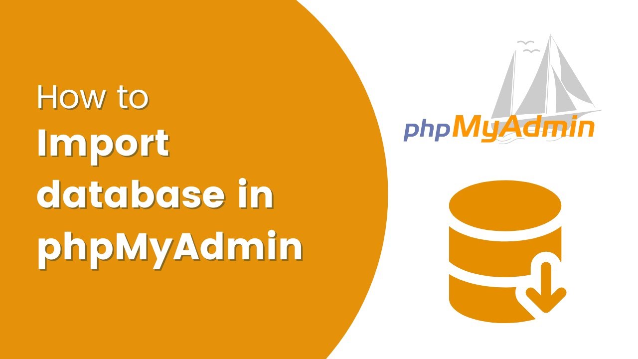 How to use ngModel in Angular 16? | Two-Way Data Binding